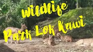 The Interesting of Wildlife Park, Lok Kawi, Sabah / Jason JS  @Jason JS