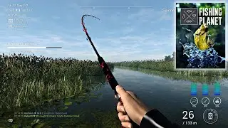 Strike Berkali-Kali Mancing Di Rawa-Rawa | Fishing Planet Indonesia