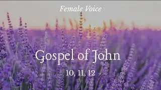 John 10, 11, 12 - Peaceful Bible reading for Deep Sleep - Soothing Female Narrator - Calming Nature