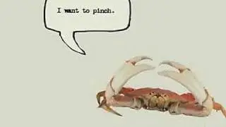 Honda Crab and Car Commercial - 'I Pinch'