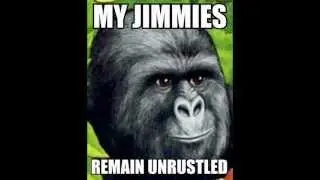 That Really Rustled My Jimmies