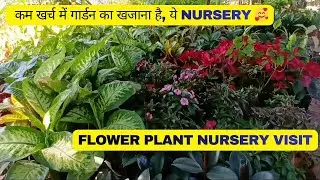 Flower Plant Nursery Visit — कम खर्च में गार्डन का खजाना है, ये Nursery 🥰