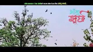 २०२० नोभेम्बर ११