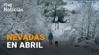 TEMPORAL FRÍO: Hasta 20 CENTÍMETROS de NIEVE en PAÍS VASCO y NAVARRA | RTVE Noticias
