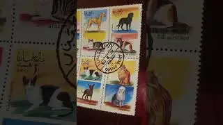 Really Cool Arabic Stamp Set