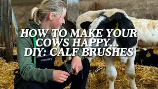 How To Make Your Cows Happy... DIY: Calf Brushes
