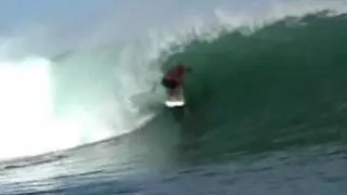 Fat Surfer - Jimbo Pellegrine