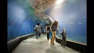 Europe's biggest Zoo , Poland ,Wroclaw ,underwater cave