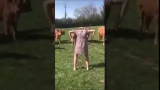 Culiquitaca Challenge Dance