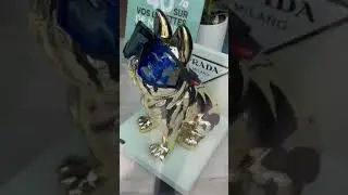 Special dog# gold dog chasmah# viral #trending #latest # youtube shorts #  france #paris # video
