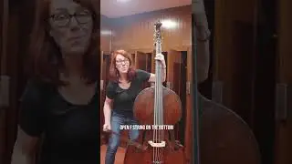 Introducing the Viennese Bass