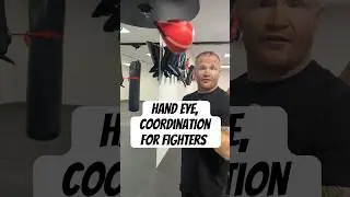 Hand and Eye coordination- SOLO training for Fighters. TRY THESE #shorts