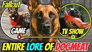 The Entire Lore of Dogmeat in the Fallout Universe (Games + Show) – Explained