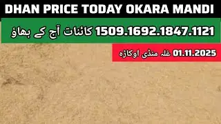 DHAN PRICE TODAY OKARA MANDI PAKISTAN // 15.09.1847.1692.1121 Today's price of grain market Okara...
