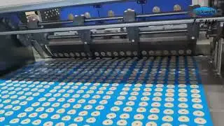 Skywin Pretzel Biscuit Production Line