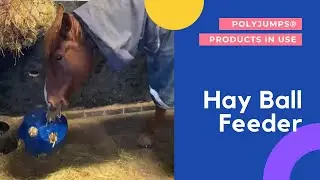 PolyJumps&reg; Hay Ball in use!
