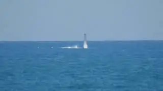 BARGARA WHALES. AUGUST 30TH, KELLYS BEACH.