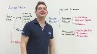 10 - Agentes P&uacute;blicos - 𝗧𝗵𝗮𝗹𝗹𝗶𝘂𝘀 𝗠𝗼𝗿𝗮𝗲𝘀