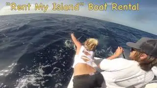 Rent My Island 