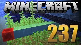 KELP FARM  MAIS LOUCA DO MINECRAFT - Em busca da casa automática #237