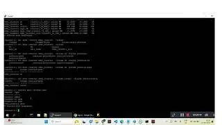Netapp Snapmirror Active Sync-14