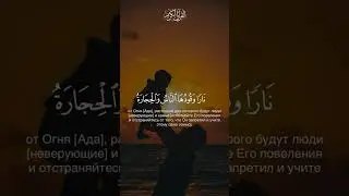 Сура (Запрещение-66) Аят 6