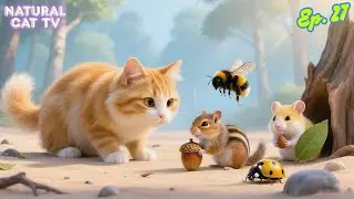 Natural Cat TV 🐿️ Cat Activities Featuring Wildlife to Keep Indoor Cats Engaged 🏡