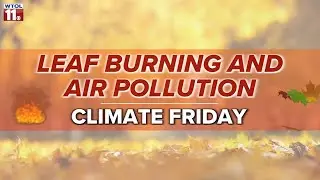 Climate Friday | Here's why you shouldn't burn leaves