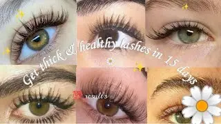 Eyelash growth serum + tips to get long thick & healthy lashes in 10 days✨🎗️🌼| regrow lashes|