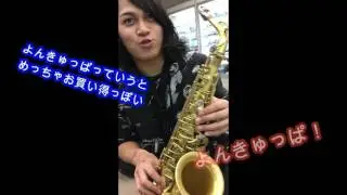 【lupifaro platinus series】ルピファーロ プラチナムシリーズ！