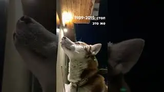 1989-2015 сигмы