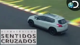 Descubra o timbre de dirigir - Sinest&eacute;sicos: Sentidos Cruzados l Discovery Channel