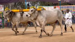 2026-రెంటచింతల.జూనియర్.2వ జత.గోపాలం బ్రహ్మయ్య గారు గోపాలవారిపాలెం గ్రామం పల్నాడు జిల్లా