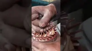 Rewinding Technique of Truck Starter Motor Armature