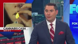 Missouri allocates cannabis revenue to veterans, addiction treatment