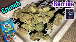 Revelry &ldquo;Crunch Berries&rdquo; THCA Smalls
