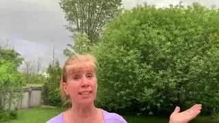 Storm Watch