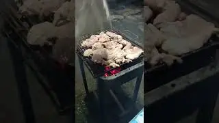 ES NECESARIA LA CARNEADA 