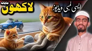 How To Ai Video Generator | How to create Orange Cat Realistic Ai Videos | How To Ai Video 