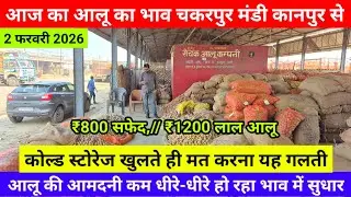 2 फरवरी 2026 /आज का आलू का भाव चकरपुर मंडी कानपुर से कोल्ड स्टोरेज खुलते ही मत करना गलतीAalu Ka Bhav