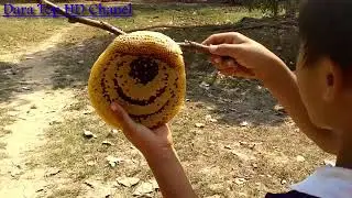 Smart Boy Catch Bees By Cigarettes​| Amazing videos, From BanTeaySrey
