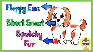 How is domesticated fox revealing secrets of domesticated animals? (Domestication Syndrome)