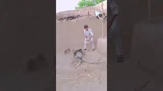 mir w&uuml;rde der Mann von nie wieder leer kostet Bad Matthies