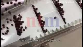 Starch Mogul Line,Mogul Jelly Production Line,Soft Candy Production Line,China Machine Manufacturer