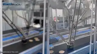Parallel Robots in Automated Manufacturing