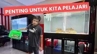 PEMBEAJARAN BERHARGA DALAM MELAKUKAN PEMELIHARAAN IKAN - JANGAN SAMPAI TERJADI DULU BARU BELAJAR