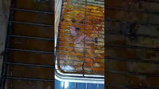 Bachelor Surprise - Thanksgiving Beer Can Chicken - 2023