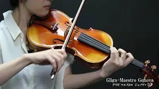 【楽器試奏動画】Gliga Maestro Genova Violin