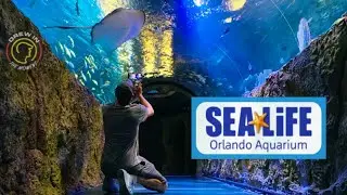 You must Visit Sea Life Orlando Aquarium Tour | ICON Park Attraction | thing to do Orlando, Florida