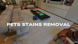 Pets Stains Removal Vomit and urine Rug cleaning natural fiber 305-927-8488